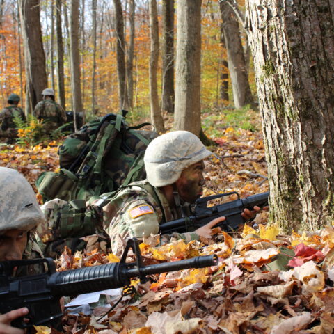 Fall FTX battle buddies.