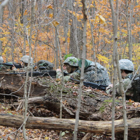 Fall FTX defensive.