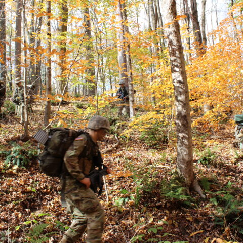Fall FTX moving through trees.